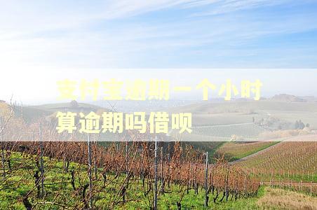 支付宝逾期一个小时算逾期吗借呗