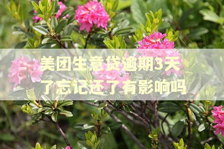 美团生意贷逾期3天了忘记还了有影响吗
