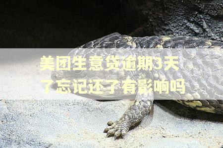 美团生意贷逾期3天了忘记还了有影响吗