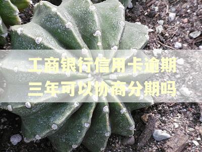 工商银行信用卡逾期三年可以协商分期吗 工商银行信用卡逾期三年可以协商分期吗
