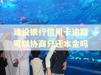 建设银行信用卡逾期可以协商只还本金吗 建设银行信用卡逾期可以协商只还本金吗