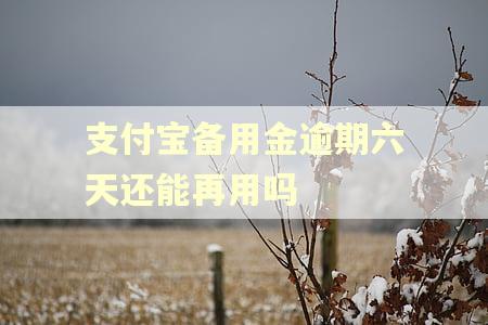 支付宝备用金逾期六天还能再用吗