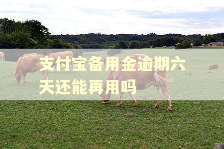 支付宝备用金逾期六天还能再用吗