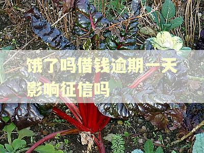 饿了吗借钱逾期一天影响征信吗
