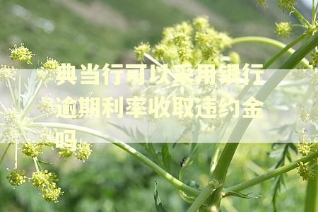 典当行可以采用银行逾期利率收取违约金吗