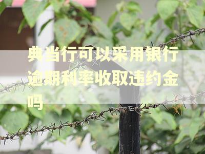 典当行可以采用银行逾期利率收取违约金吗