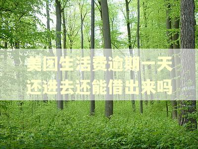 美团生活费逾期一天还进去还能借出来吗