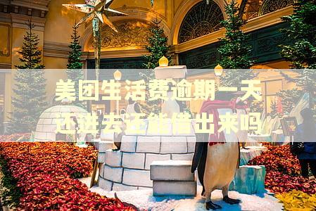 美团生活费逾期一天还进去还能借出来吗