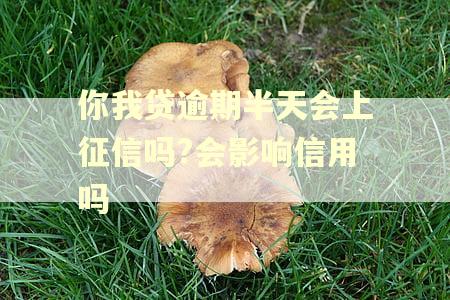 你我贷逾期半天会上征信吗?会影响信用吗