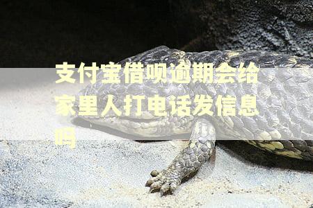 支付宝借呗逾期会给家里人打电话发信息吗