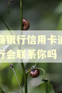 工商银行信用卡逾期银行会联系你吗