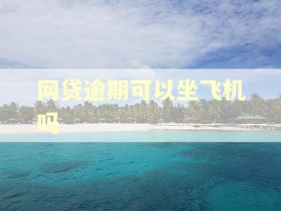 网贷逾期可以坐飞机吗