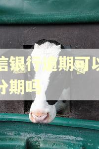 中信银行逾期可以本金分期吗