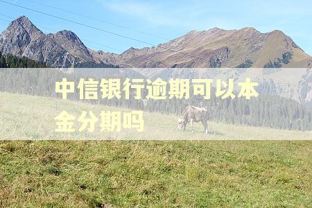 中信银行逾期可以本金分期吗