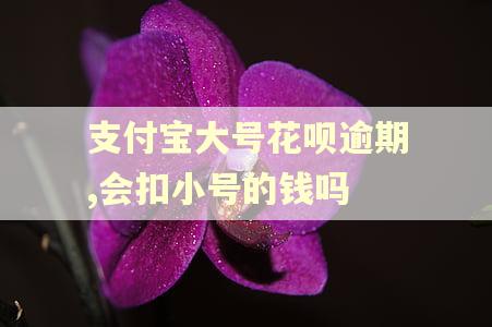 支付宝大号花呗逾期,会扣小号的钱吗
