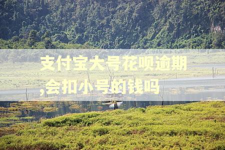 支付宝大号花呗逾期,会扣小号的钱吗 支付宝大号花呗逾期,会扣小号的钱吗