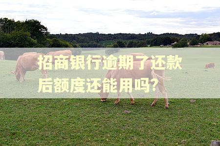 招商银行逾期了还款后额度还能用吗? 招商银行逾期了还款后额度还能用吗?
