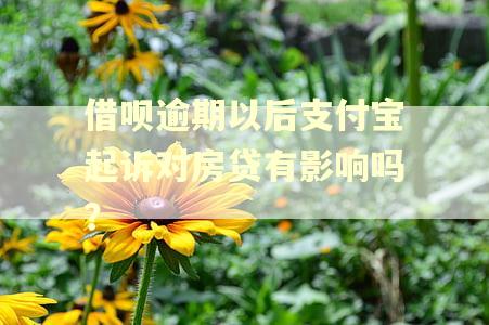 借呗逾期以后支付宝起诉对房贷有影响吗？