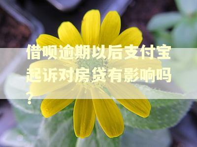 借呗逾期以后支付宝起诉对房贷有影响吗？