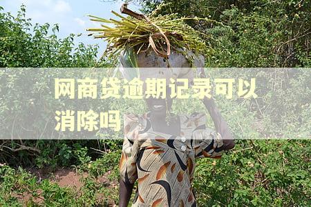 网商贷逾期记录可以消除吗
