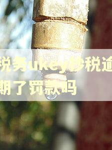 税务ukey抄税逾期了罚款吗
