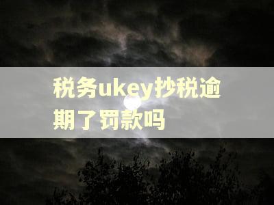 税务ukey抄税逾期了罚款吗