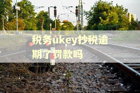 税务ukey抄税逾期了罚款吗