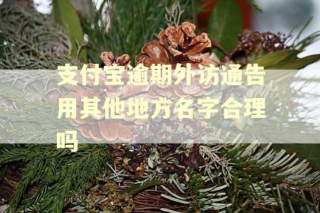 支付宝逾期外访通告用其他地方名字合理吗