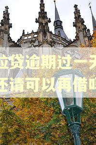 微粒贷逾期过一天提前还请可以再借吗