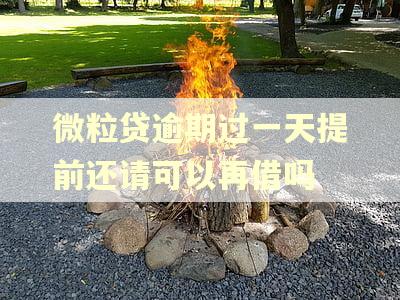 微粒贷逾期过一天提前还请可以再借吗