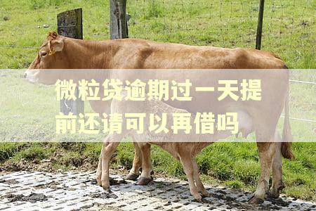 微粒贷逾期过一天提前还请可以再借吗