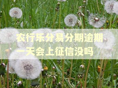 农行乐分易分期逾期一天会上征信没吗