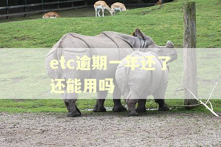 etc逾期一年还了还能用吗