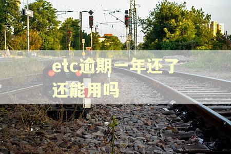 etc逾期一年还了还能用吗