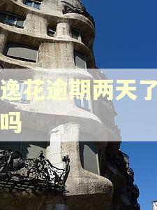 安逸花逾期两天了要紧吗