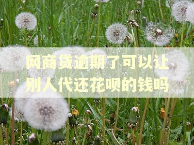 网商贷逾期了可以让别人代还花呗的钱吗