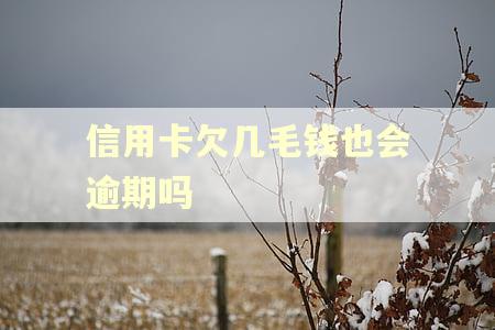 信用卡欠几毛钱也会逾期吗