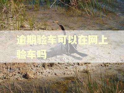 逾期验车可以在网上验车吗
