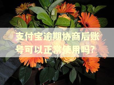 支付宝逾期协商后账号可以正常使用吗? 支付宝逾期协商后账号可以正常使用吗?