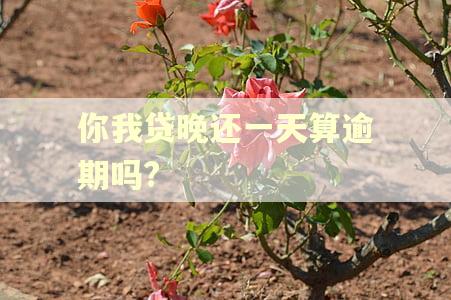 你我贷晚还一天算逾期吗?