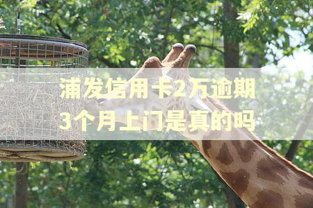 浦发信用卡2万逾期3个月上门是真的吗