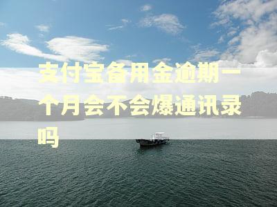 支付宝备用金逾期一个月会不会爆通讯录吗