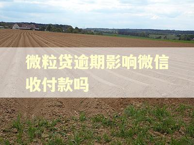 微粒贷逾期影响微信收付款吗