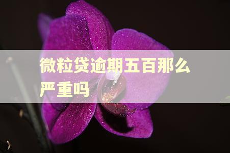 微粒贷逾期五百那么严重吗