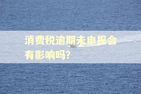 消费税逾期未申报会有影响吗？
