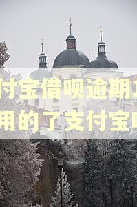 支付宝借呗逾期1年还用的了支付宝吗
