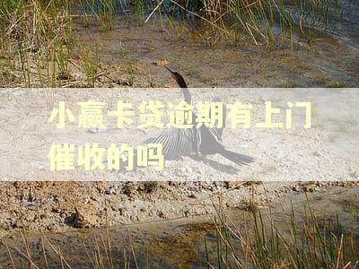 小赢卡贷逾期有上门催收的吗