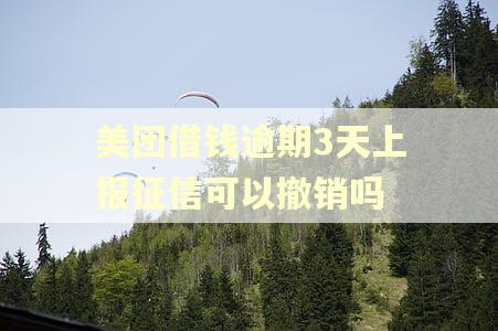 美团借钱逾期3天上报征信可以撤销吗 美团借钱逾期3天上报征信可以撤销吗