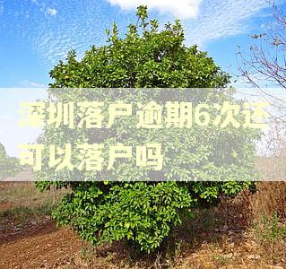 深圳落户逾期6次还可以落户吗