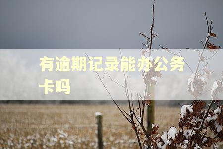 有逾期记录能办公务卡吗